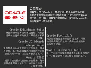 2016年erp软件厂商及产品